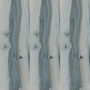 Kauri Tasman - 75x407